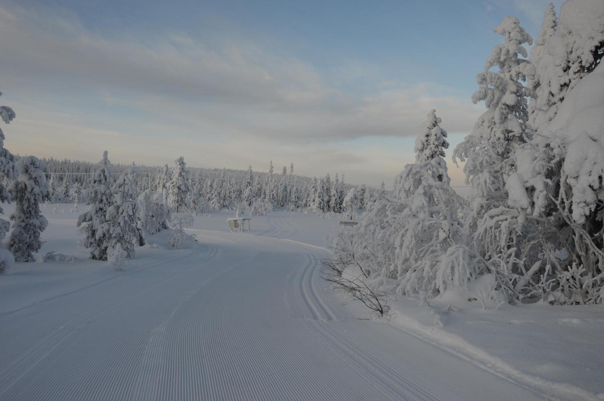 Hytte Anno 1721 Uten Internett, Strom, Vann - Men Med Rodmalt Utedo Ljørdal Kültér fotó
