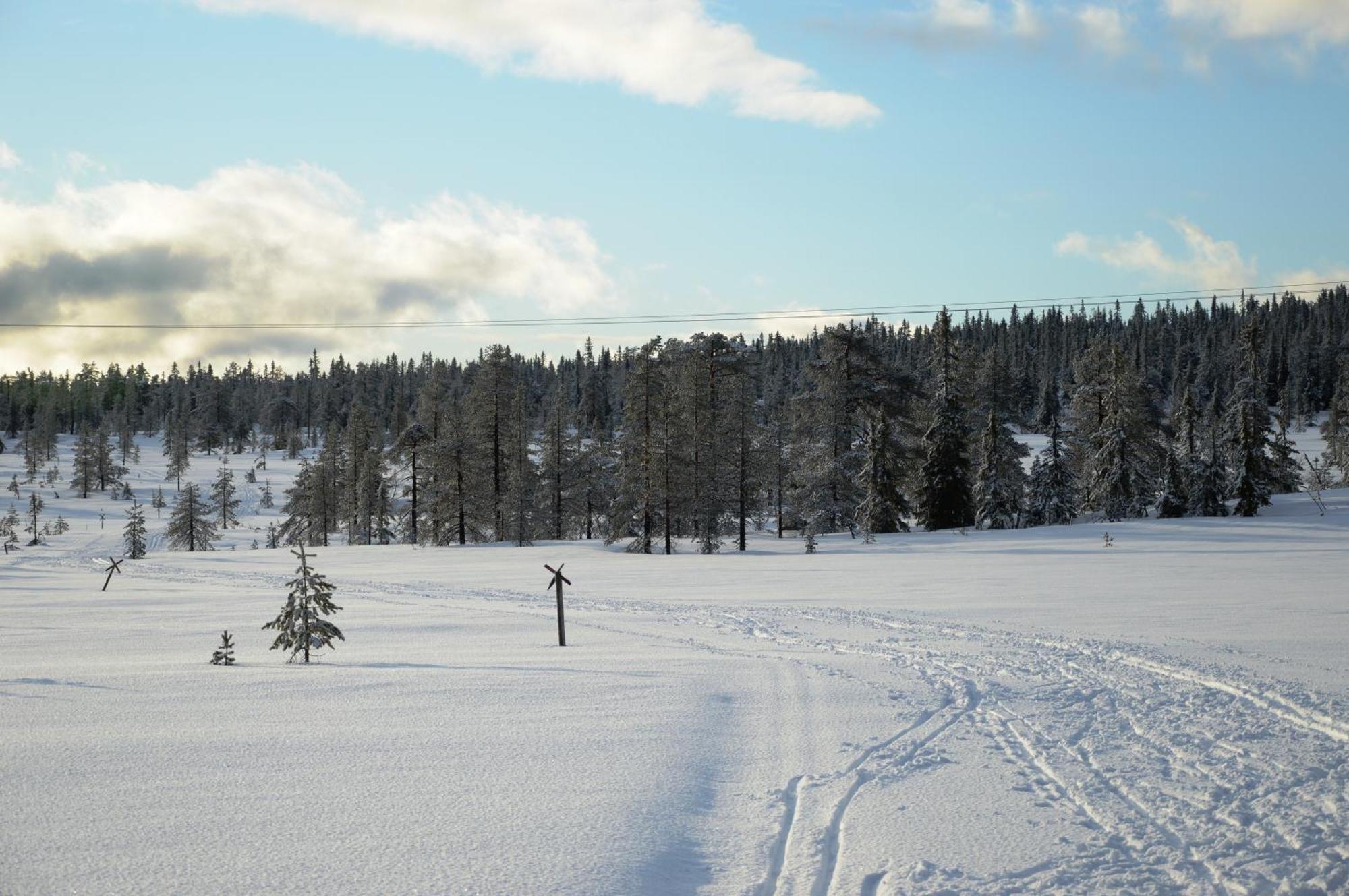 Hytte Anno 1721 Uten Internett, Strom, Vann - Men Med Rodmalt Utedo Ljørdal Kültér fotó