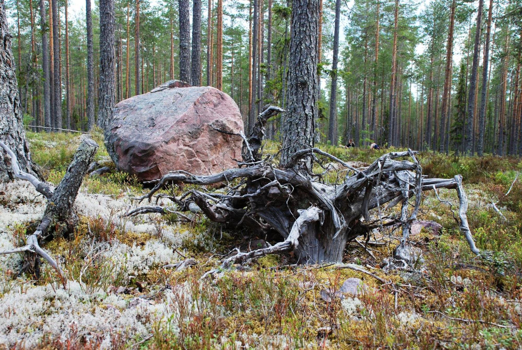 Hytte Anno 1721 Uten Internett, Strom, Vann - Men Med Rodmalt Utedo Ljørdal Kültér fotó