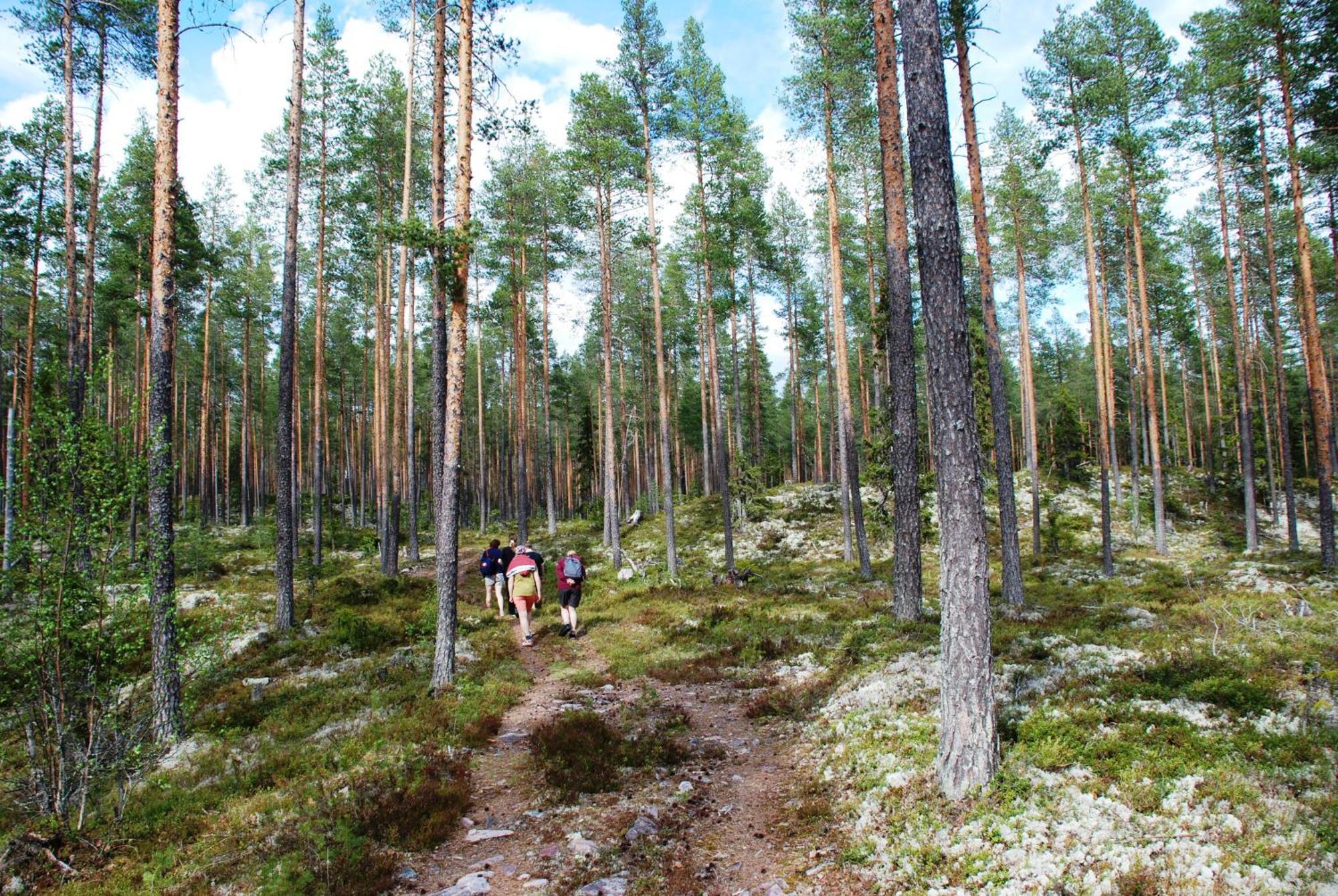 Hytte Anno 1721 Uten Internett, Strom, Vann - Men Med Rodmalt Utedo Ljørdal Kültér fotó