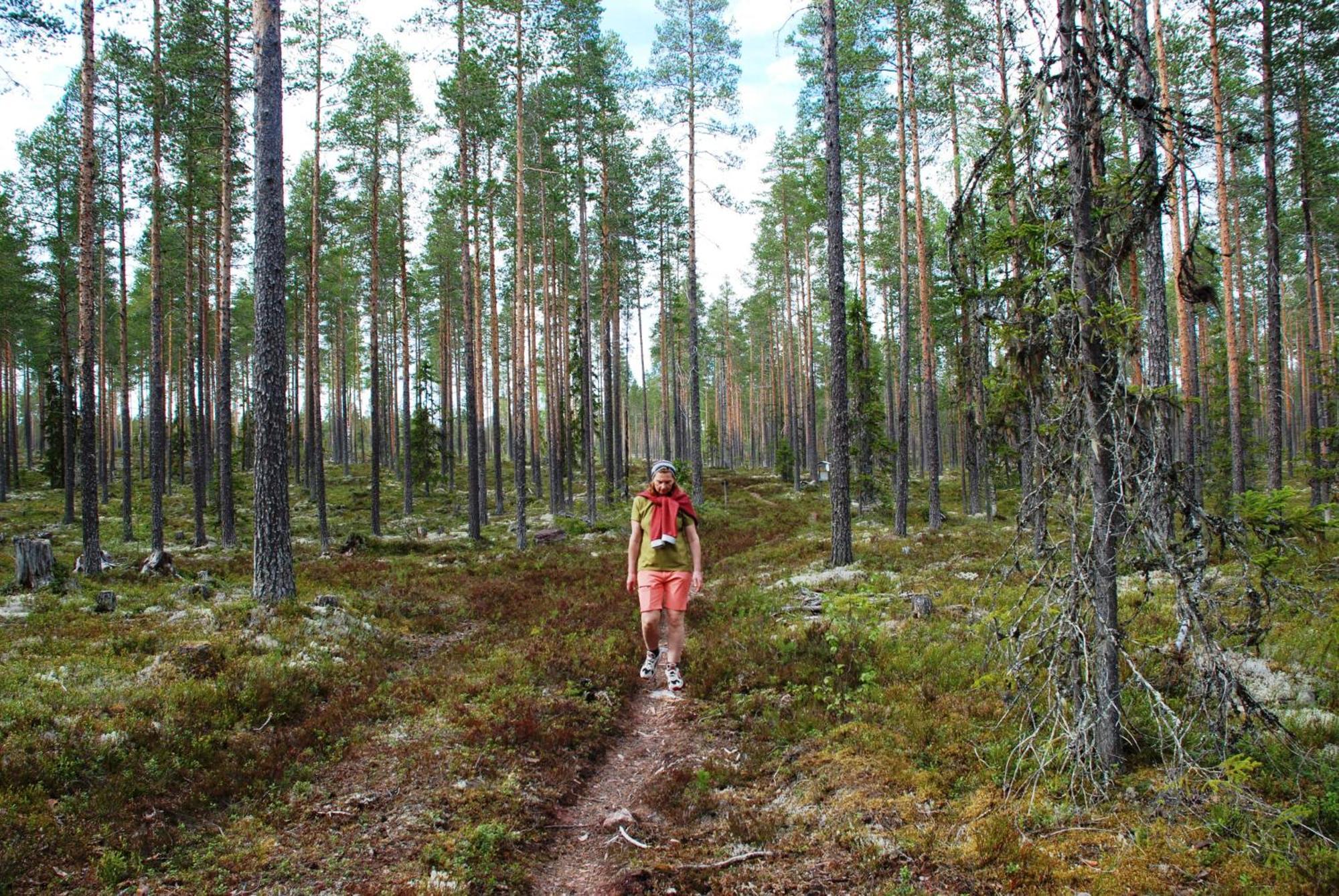 Hytte Anno 1721 Uten Internett, Strom, Vann - Men Med Rodmalt Utedo Ljørdal Kültér fotó