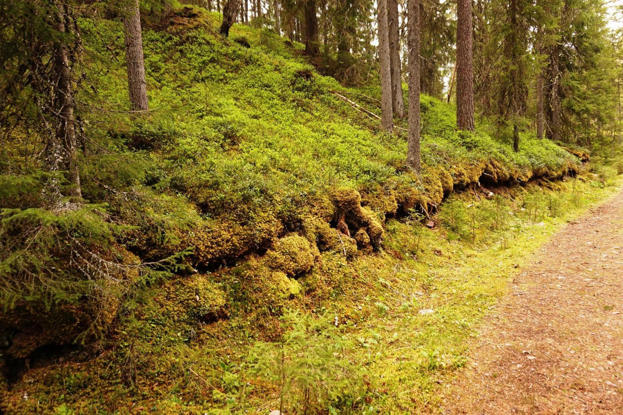 Hytte Anno 1721 Uten Internett, Strom, Vann - Men Med Rodmalt Utedo Ljørdal Kültér fotó